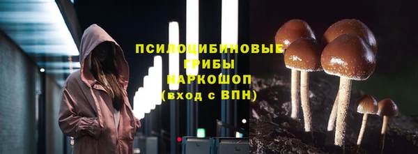 ешки Алексеевка