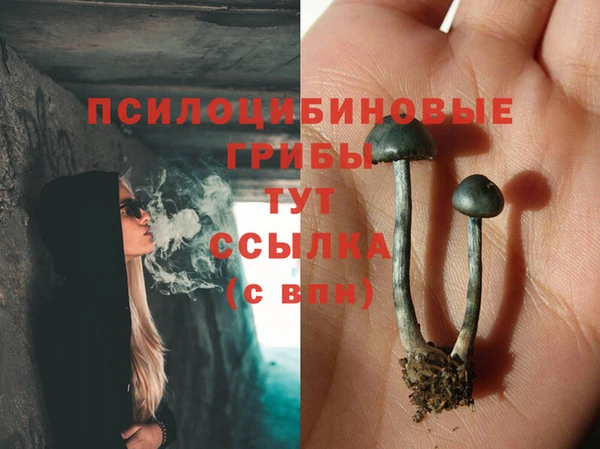 кокаин колумбия Алзамай